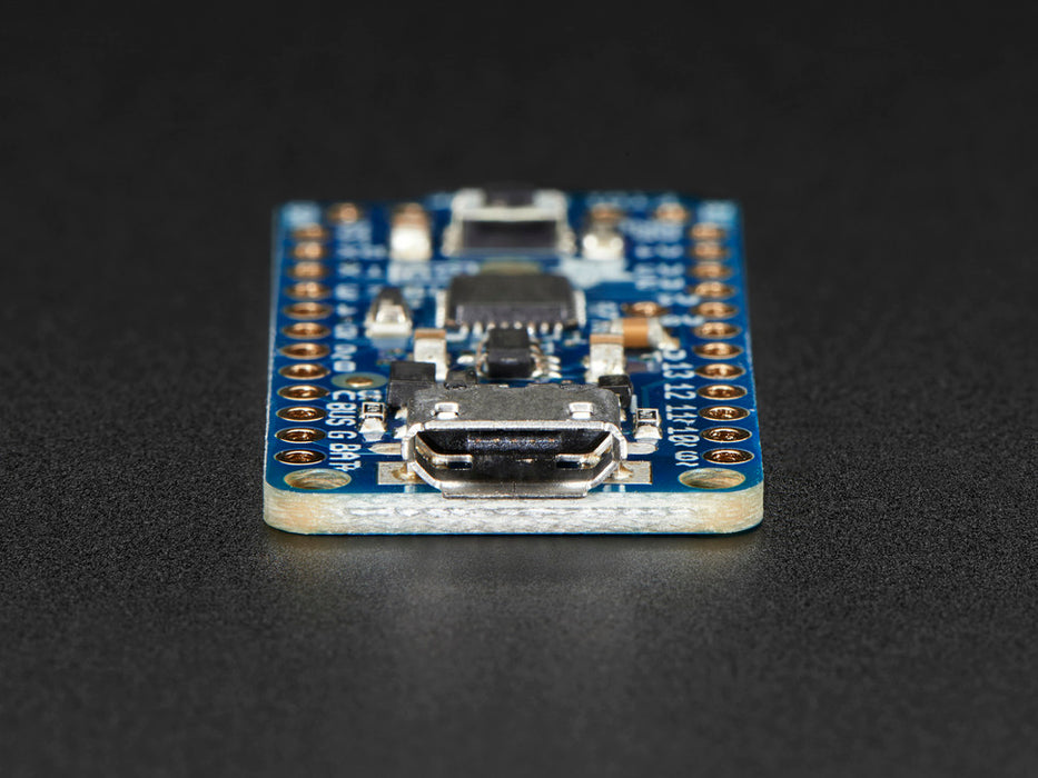 Top of Adafruit Pro Trinket - 5V 16MHz.