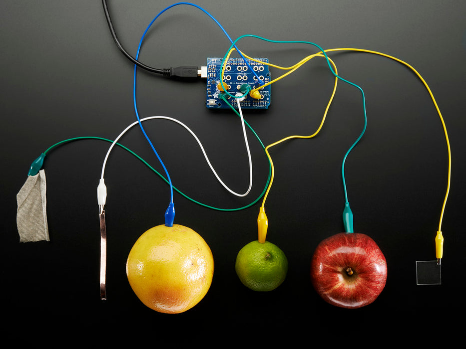 Top view of Capacitive Touch Shield for Arduino connected to various fruits and objects via alligator clips. 