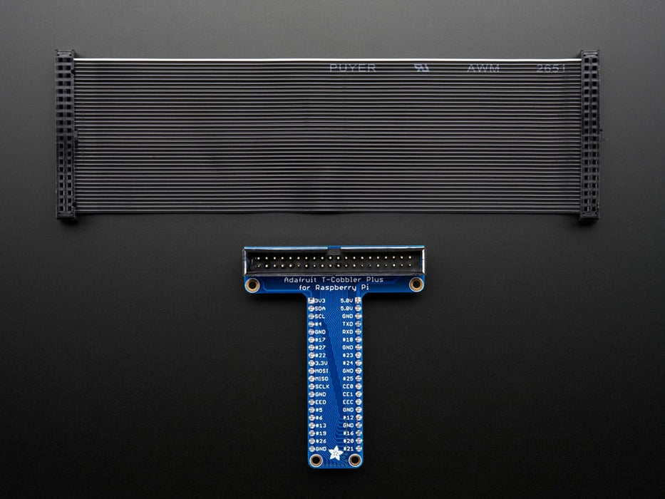 Angled shot of Assembled Pi T-Cobbler Plus next to GPIO ribbon cable