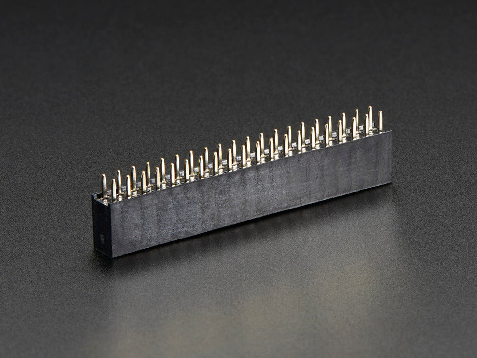 Female Raspberry Ob GPIO Header for Raspberry Pi B+ - 2x20 Female Header — Robot Italy