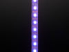 Part of a coiled LED strip glowing purple LEDs.