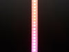 Shot of lightly coiled LED strip glowing rainbow colors.