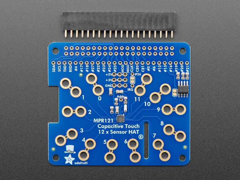 Video of a white hand pressing various bananas, oranges, and other fruits connected to a Raspberry Pi with Adafruit Capacitive Touch HAT via alligator test clip leads.