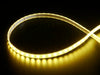 Coiled warm white LED strip with LEDs changing color throughout rainbow and also white