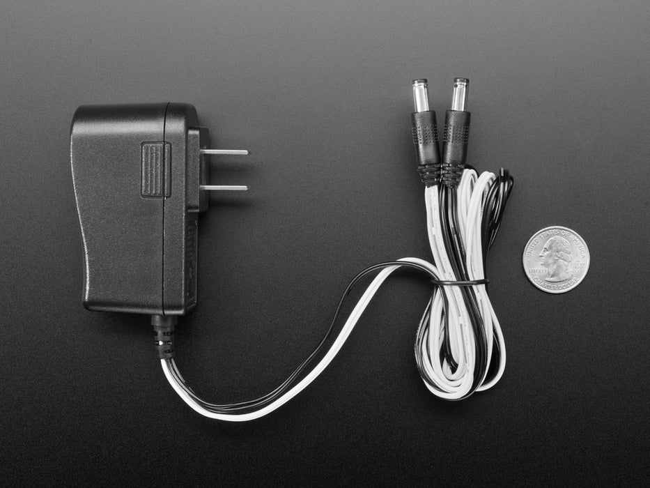 Wall wart power supply with two 2.1mm DC outputs.