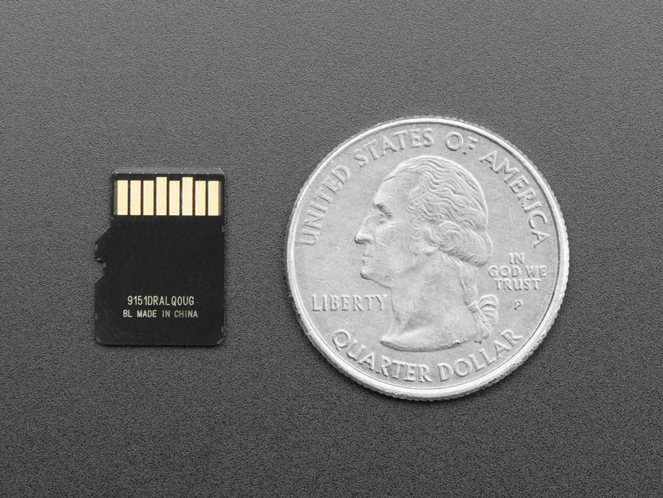 Angled shot 16GB Micro SD Card with Buster Lite