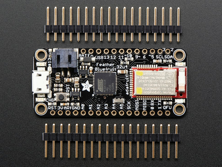 Angled shot of rectangular microcontroller.