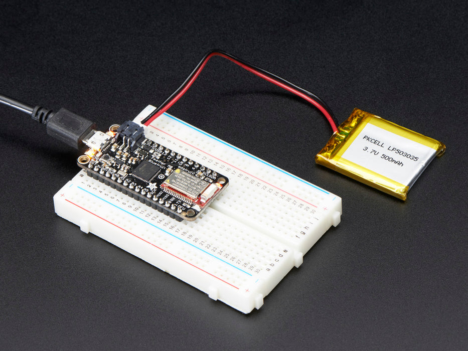 Angled shot of rectangular microcontroller.