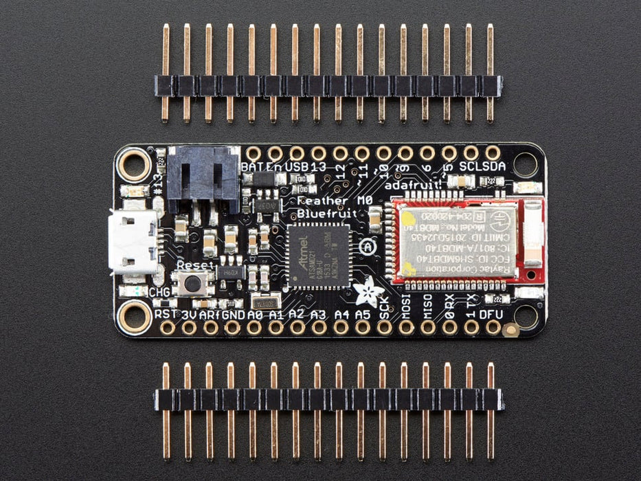 Angled shot of rectangular microcontroller.