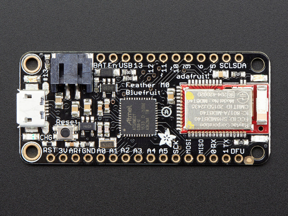 Angled shot of rectangular microcontroller.