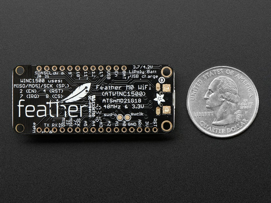 Angled shot of rectangular microcontroller.