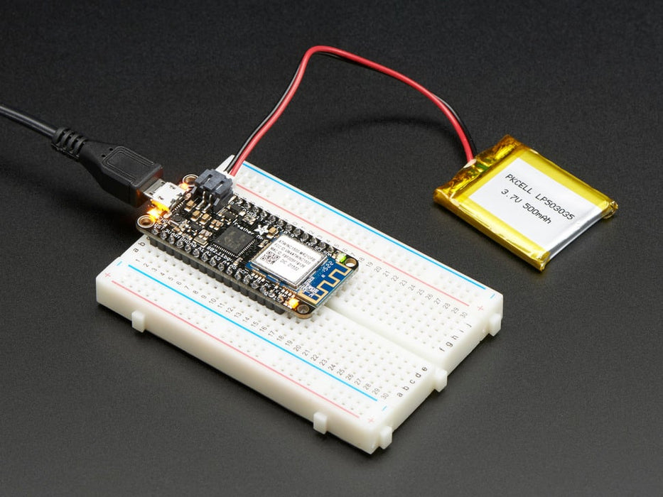 Angled shot of rectangular microcontroller.