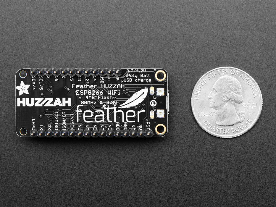 Angled shot of rectangular microcontroller with headers.