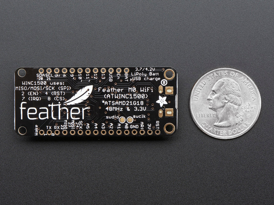 Angled shot of rectangular microcontroller.