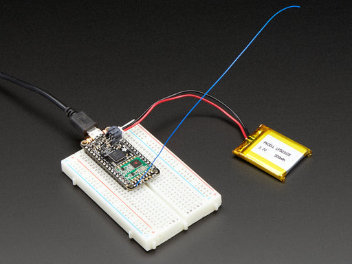 Angled shot of rectangular microcontroller.