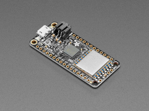 Angled shot of rectangular microcontroller.