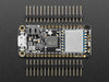 Angled shot of rectangular microcontroller.