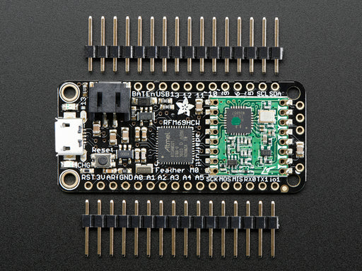 Angled shot of rectangular microcontroller.