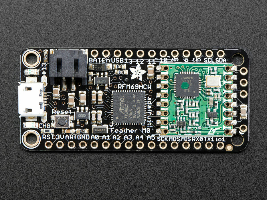 Angled shot of rectangular microcontroller.