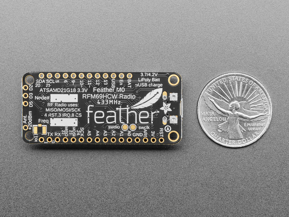 Angled shot of rectangular microcontroller.