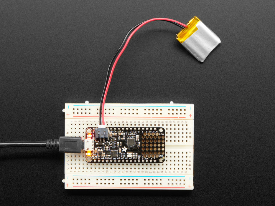 Angled shot of rectangular microcontroller.