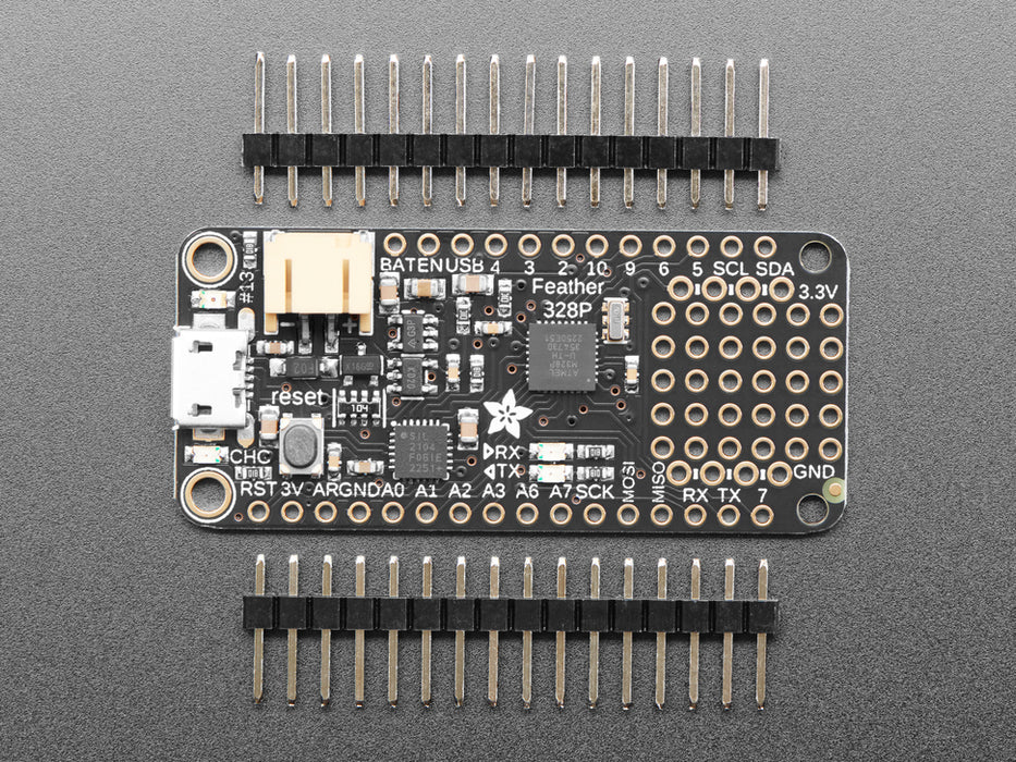 Angled shot of rectangular microcontroller.