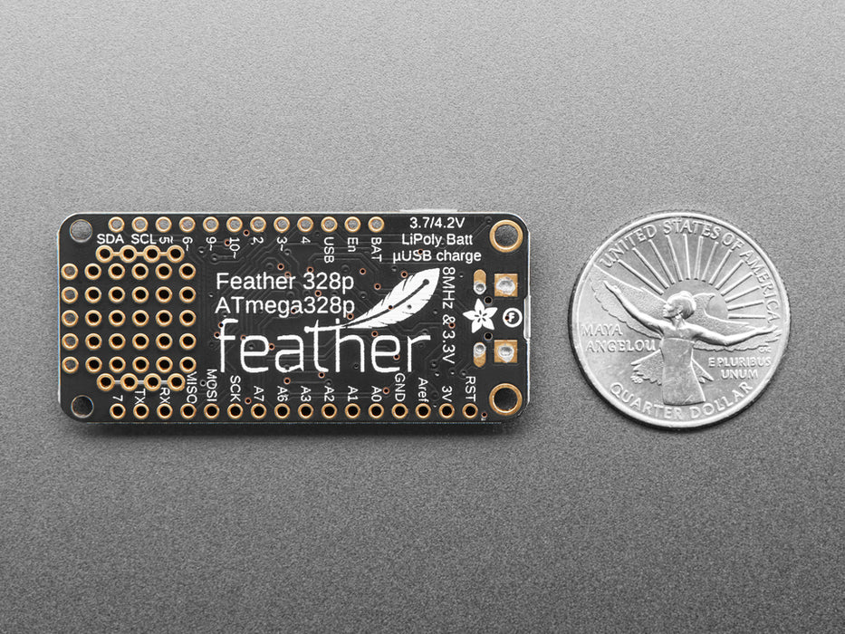 Angled shot of rectangular microcontroller.