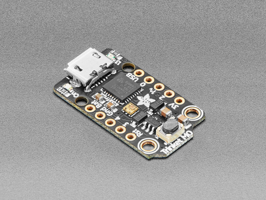 Trinket M0 dev board with SAMD21 chipset.