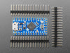 Angled shot of Adafruit ItsyBitsy 32u4 - 5V 16MHz. 