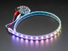 Adafruit NeoPixel LED 0.5 meter Strip with Alligator Clips wired to Circuit Playground, lighting up rainbow