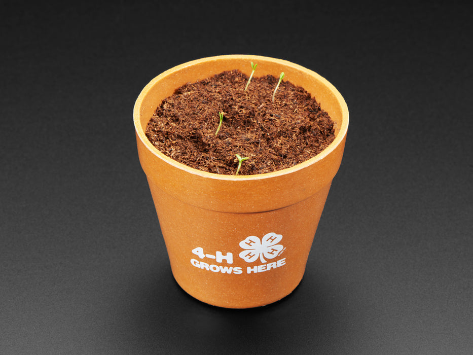 Grow Your Own Clovers Kit with 4-H logo 