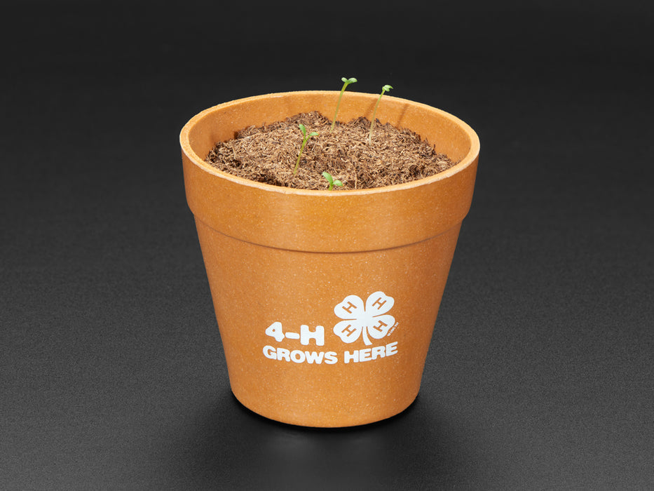Grow Your Own Clovers Kit with 4-H logo 