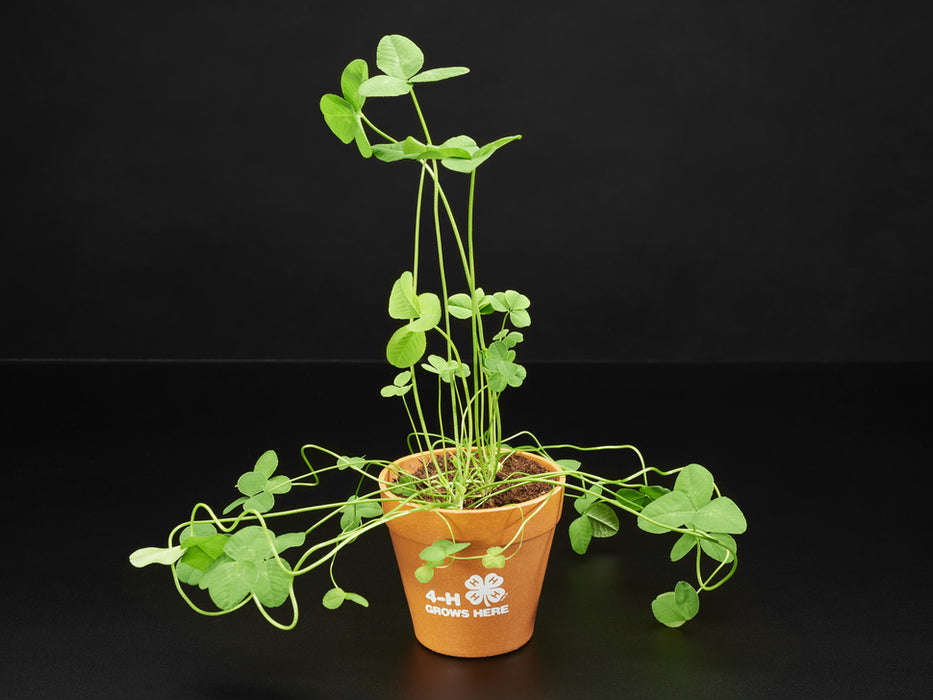 Person watering sprouts with a Circuitry water sensor attached