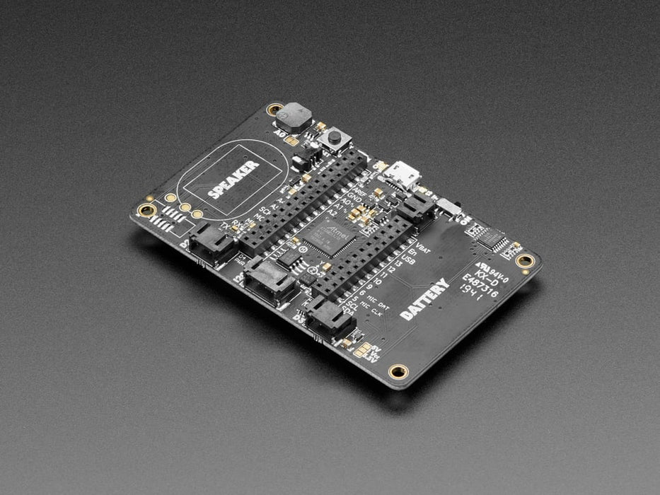 Top view of Adafruit EdgeBadge - Display reads "Test the TensorFlow lite voice model. Press and hold A button, say YES or NO, and see if the machine learned!".