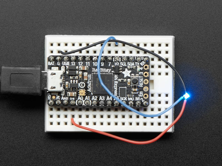 10 NeoPixel Addressable 1515 LEDs next to quarter