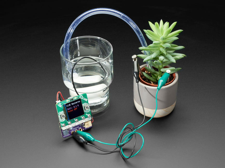 Adafruit Bonsai Buckaroo - micro:bit & CLUE Plant Care Helper connected to a plant and a cup of water with alligator clips. Display reads "CLUE Buckaroo, Soil: 3.1K, Motor Off"