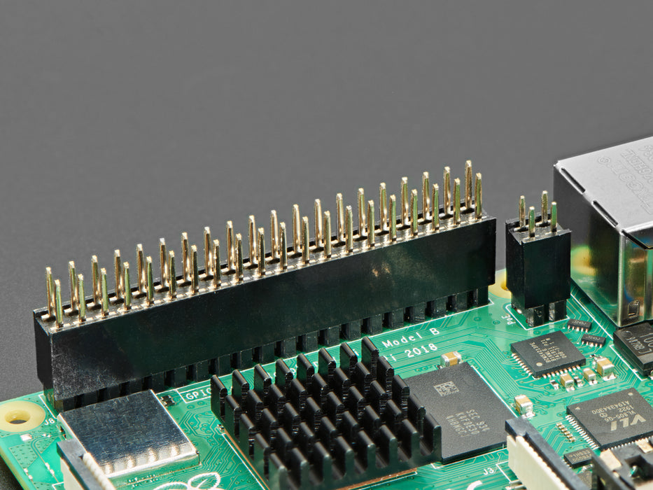 GPIO Female 2x2 4-pin Socket Riser Header for Raspberry Pi