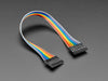 Angled shot of 20cm long 8-pin 2.54mm pitch cable.