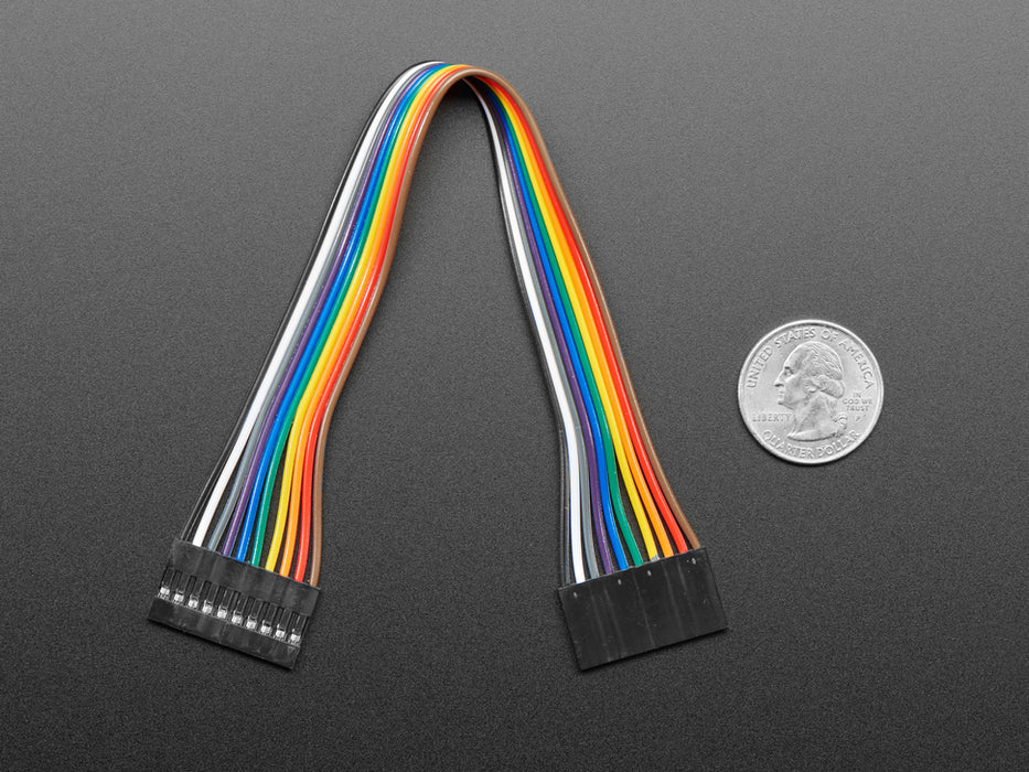 Angled shot of 20cm long 10-pin 2.54mm pitch jumper cable.