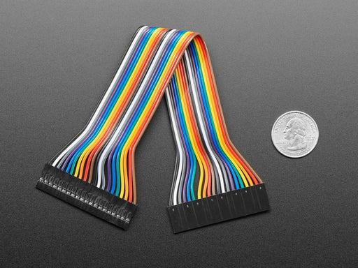 Angled shot of 20cm long 20-pin 2.54mm pitch jumper cable.