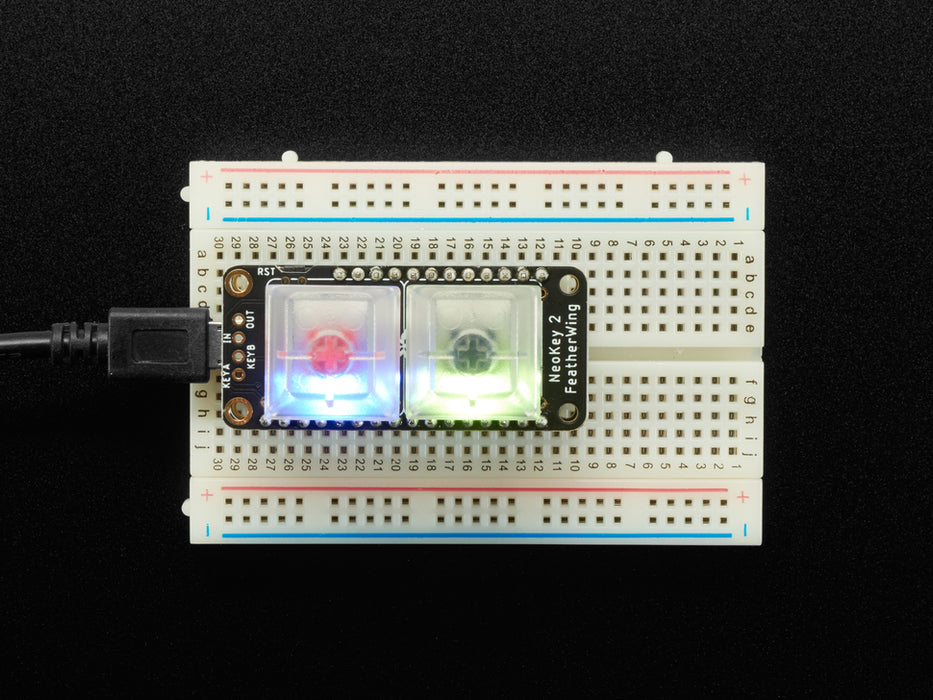 Angled video of FeatherWing PCB installed on breadboard with key caps and switches. A finger reaches down to press the keys which light up rainbow colors.