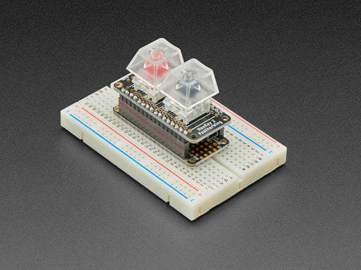 Angled video of FeatherWing PCB installed on breadboard with key caps and switches. A finger reaches down to press the keys which light up rainbow colors.