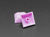 Grouped shot of 10 pack DSA color keycap Light Purple KIT