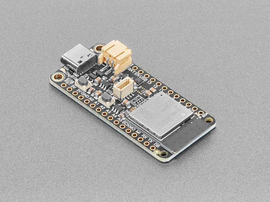 Angled shot of rectangular microcontroller.