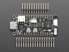 Angled shot of rectangular microcontroller.