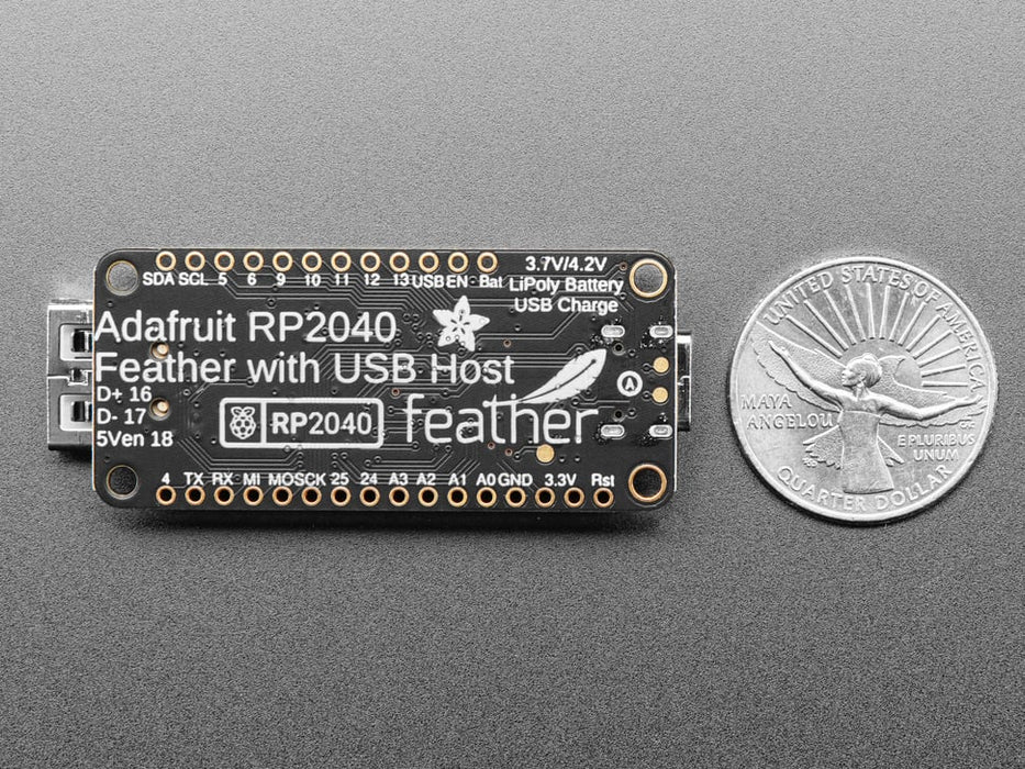 Angled shot of black rectangular microcontroller with USB C and USB A connectors at both ends.