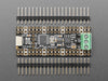 Angled shot of long skinny CAN Bus microcontroller with terminal blocks.