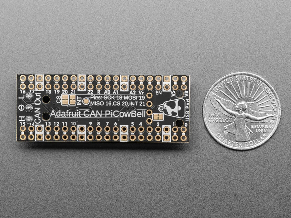 Angled shot of long skinny CAN Bus microcontroller with terminal blocks.