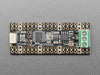 Angled shot of long skinny CAN Bus microcontroller with terminal blocks.