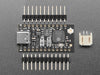 Angled shot of short rectangular black microcontroller.